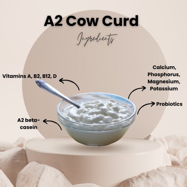 Curd - Image 4