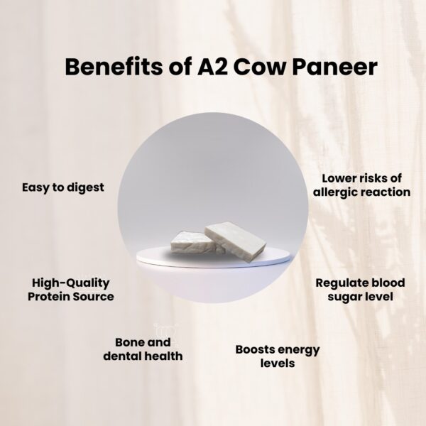 A2 Cow Paneer - Image 3