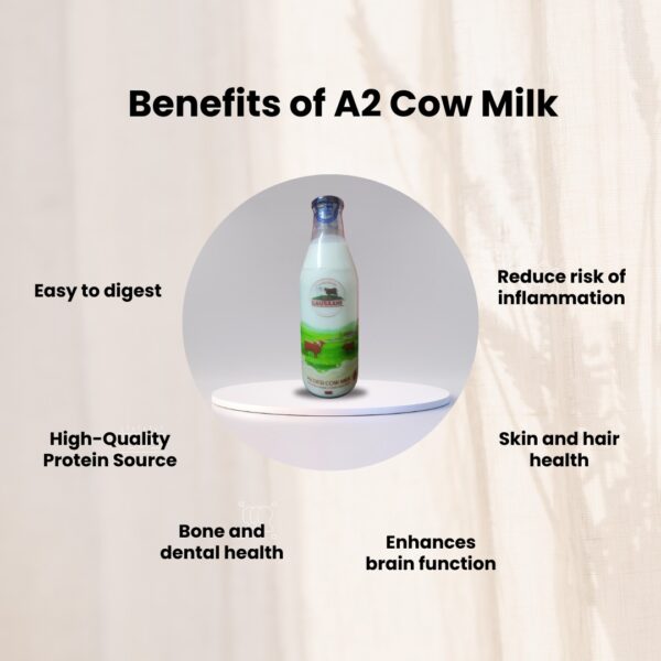 A2 Cow Milk - Image 2